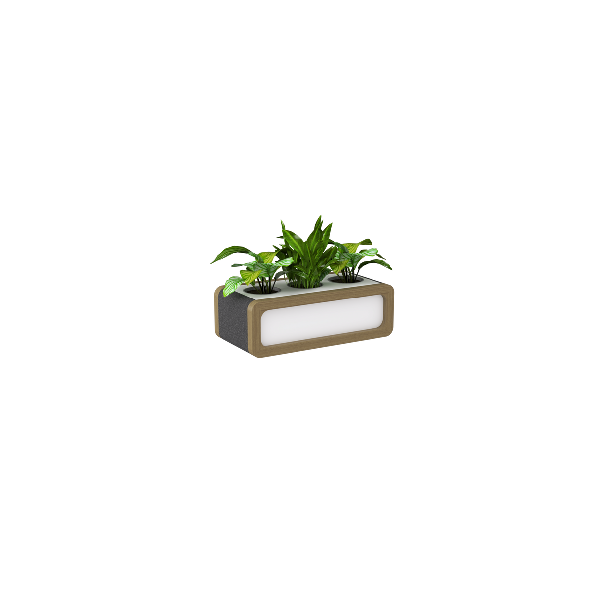 Rover Planter for Credenza
