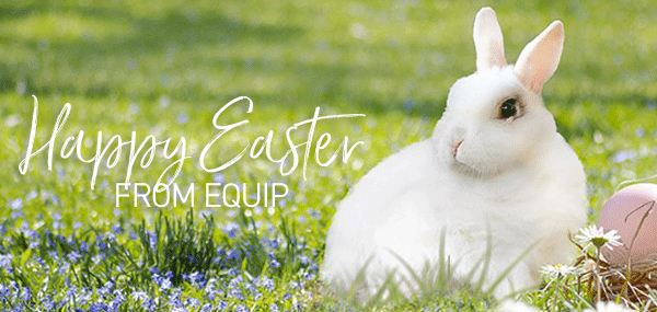 5 Reasons Employees  Love Mesh Chairs