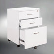 Mobile Pedestal 2 Pack Paint - Hugo Reception Desk