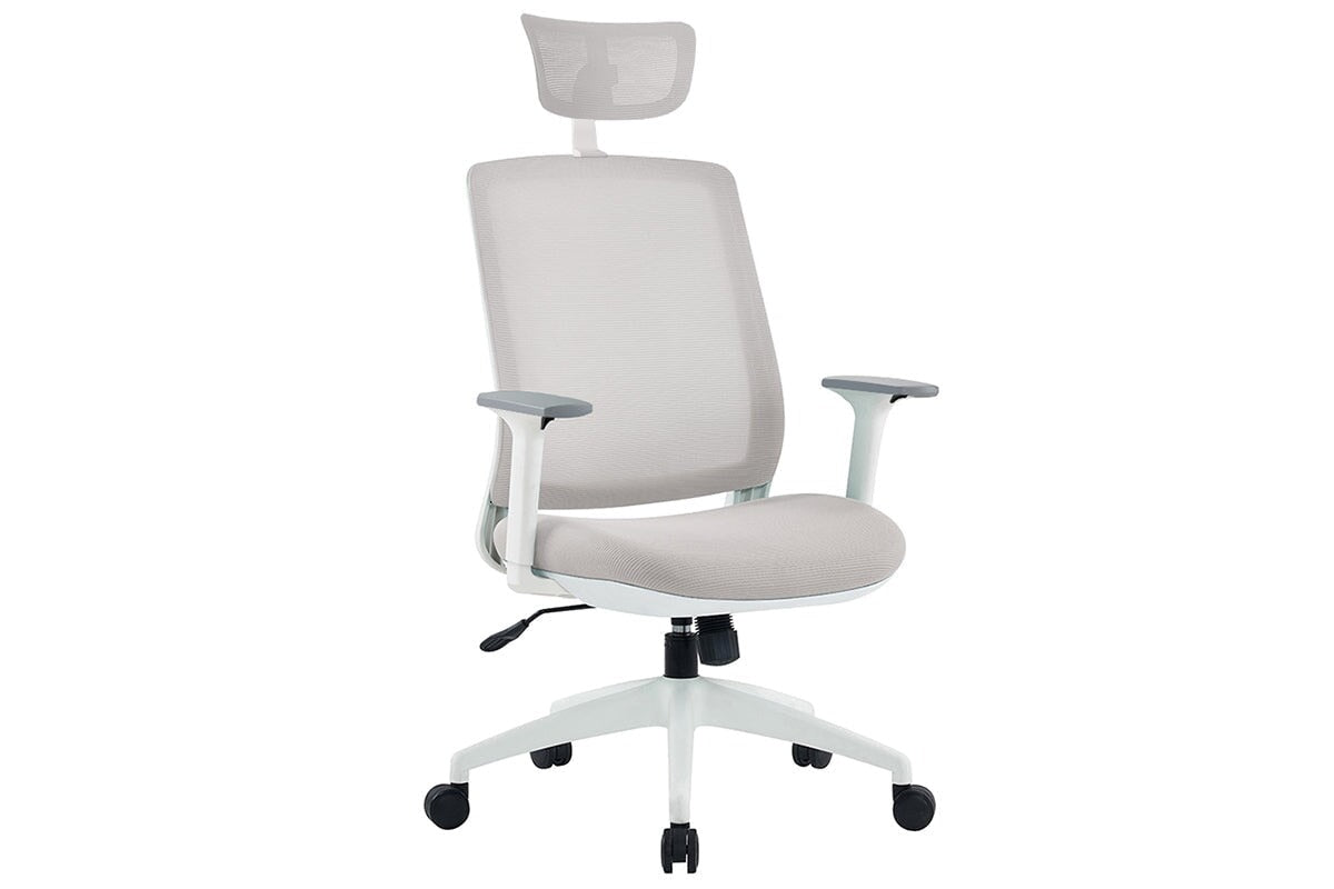 FINCH ERGONOMIC MESH OFFICE CHAIR
