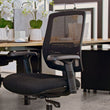 SHRIKE ERGONOMIC OFFICE CHAIR