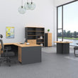 OM EXECUTIVE DESKS & STORAGE