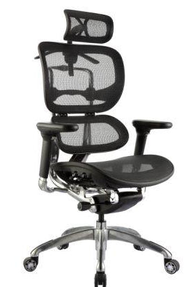 ERGO 1 EXECUTIVE CHAIR WITH HEADREST