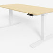SELECTRIC HEIGHT ADJUSTABLE DESKS