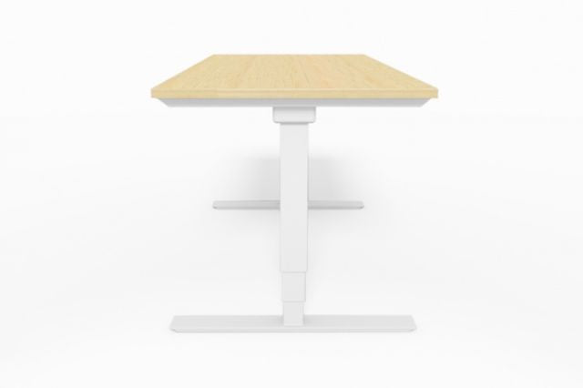 SELECTRIC HEIGHT ADJUSTABLE DESKS